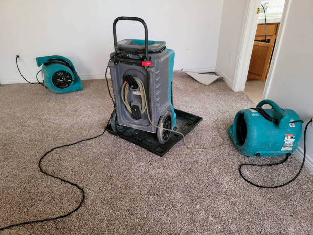 Best Professional water damage repair  in Bayou Cane, LA