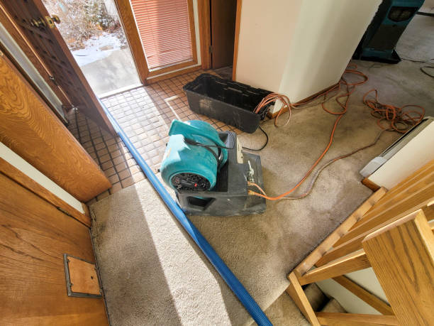 Best 24-hour water damage restoration  in Bayou Cane, LA