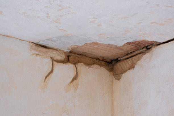 Best Residential water damage restoration  in Bayou Cane, LA