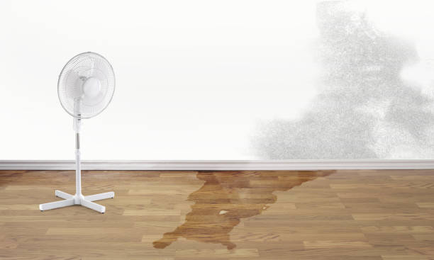  Bayou Cane, LA Water damage restoration Pros