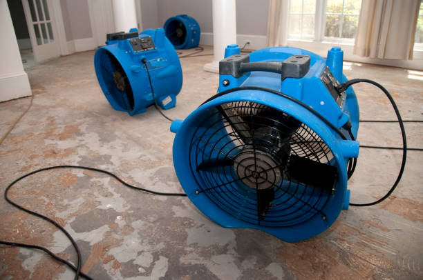 Best Carpet water damage restoration  in Bayou Cane, LA