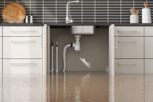 Best Basement water damage restoration  in Bayou Cane, LA
